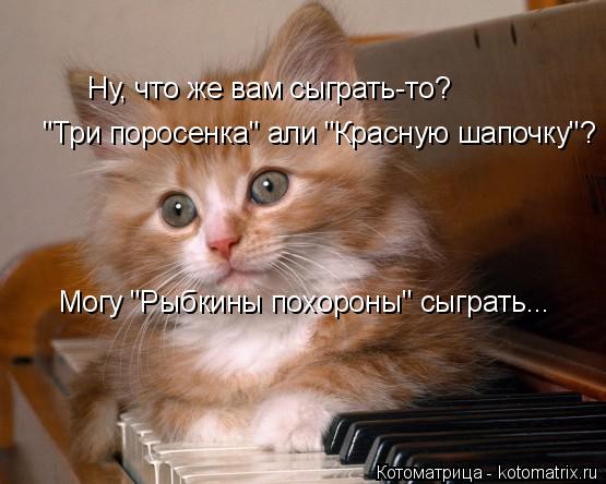 Котоматрица: Ну, что же вам сыграть-то? "Три поросенка" али "Красную шапочку"? Могу "Рыбкины похороны" сыграть...