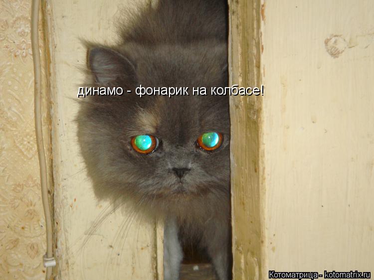 динамо - фонарик на колбасе!... Котоматрица: динамо - фонарик на колбасе!
