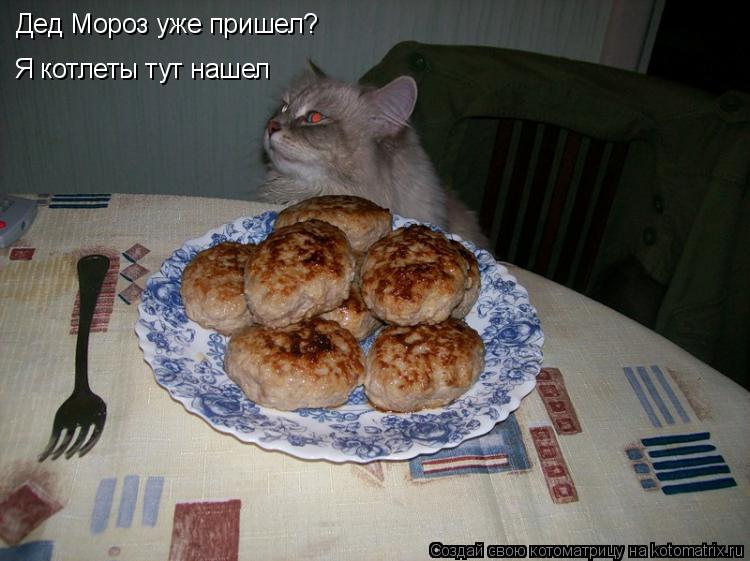 Котоматрица: Дед Мороз уже пришел? Я котлеты тут нашел
