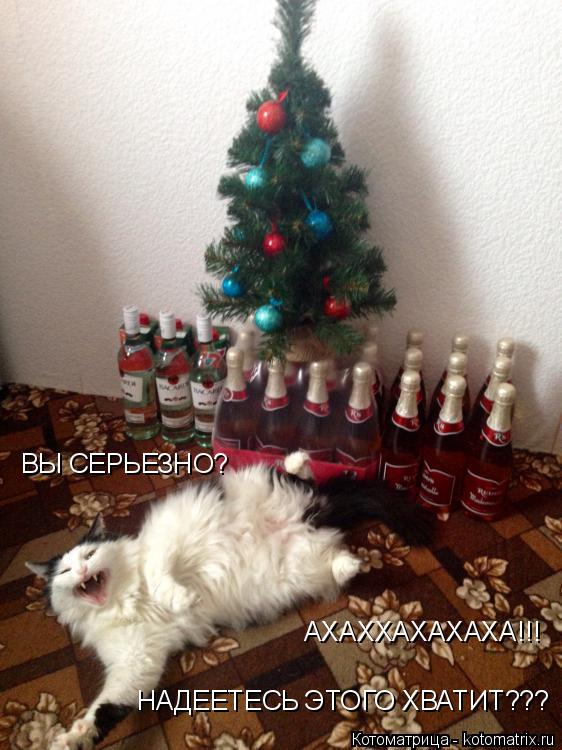 Котоматрица: АХАХХАХАХАХА!!! ВЫ СЕРЬЕЗНО?  НАДЕЕТЕСЬ ЭТОГО ХВАТИТ???