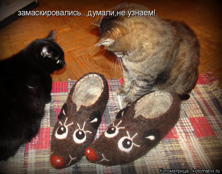 Котоматрица: замаскировались...думали,не узнаем!