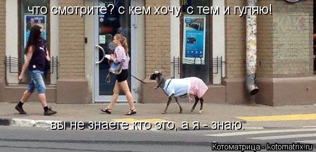 Котоматрица: что смотрите? с кем хочу, с тем и гуляю! вы не знаете кто это, а я - знаю.