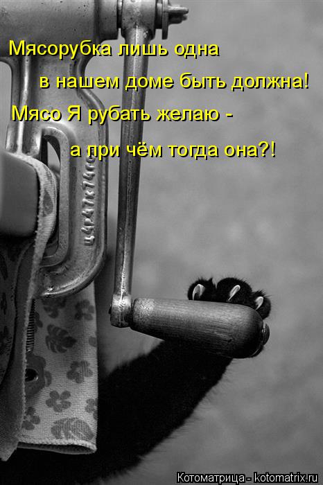 Котоматрица: Мясорубка лишь одна  в нашем доме быть должна! Мясо Я рубать желаю -  а при чём тогда она?!