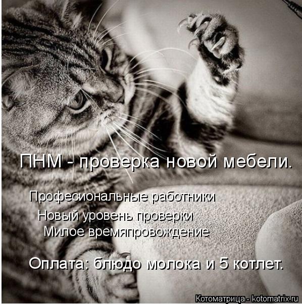 Котоматрица: ПНМ - проверка новой мебели. Професиональные работники Новый уровень проверки Милое времяпровождение  Оплата: блюдо молока и 5 котлет.