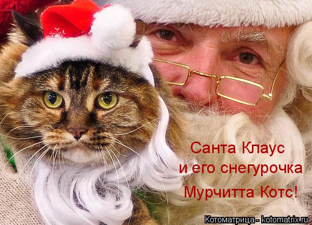Котоматрица: Санта Клаус  и его снегурочка Мурчитта Котс!