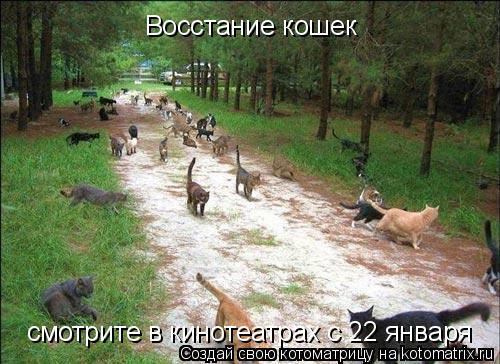 Котоматрица: Восстание кошек  смотрите в кинотеатрах с 22 января