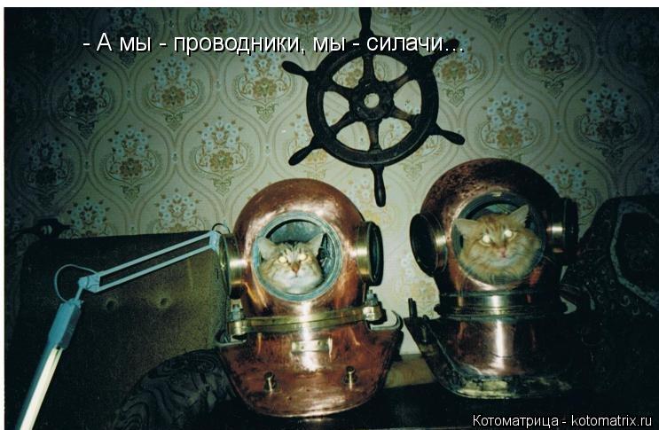 Котоматрица: - А мы - проводники, мы - силачи…