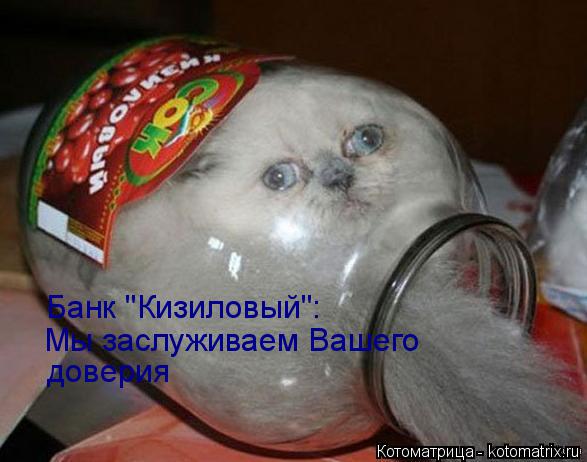 Котоматрица: Банк "Кизиловый": Мы заслуживаем Вашего доверия