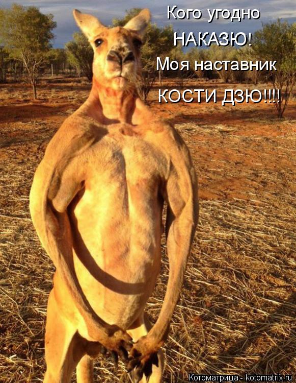Котоматрица: Кого угодно НАКАЗЮ НАКАЗЮ! Моя наставник  КОСТИ ДЗЮ!!!!