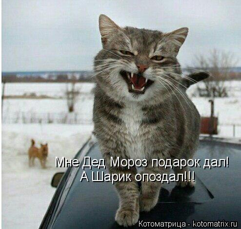 Котоматрица: Мне Дед Мороз подарок дал! А Шарик опоздал!!!
