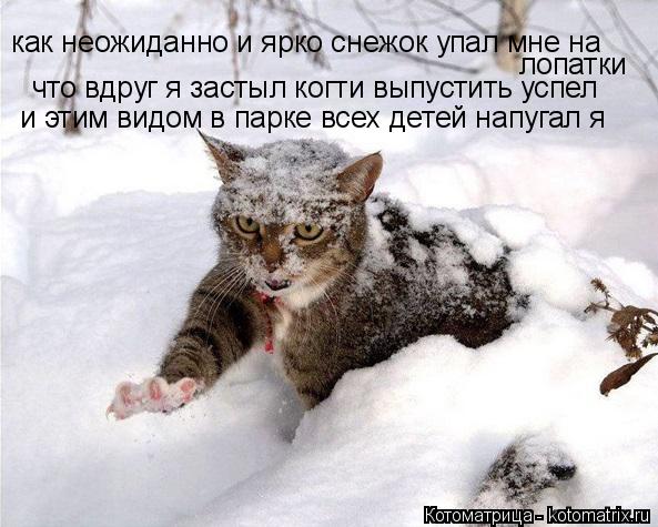 Котоматрица: что вдруг я застыл когти выпустить успел и этим видом в парке всех детей напугал я как неожиданно и ярко снежок упал мне на лопатки