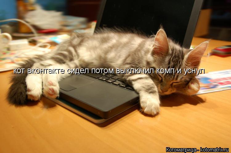Котоматрица: кот вконтакте сидел потом выключил комп и уснул