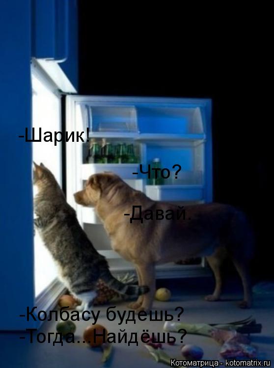 Котоматрица: -Шарик! -Что? -Колбасу будешь? -Давай. -Тогда...Найдёшь?