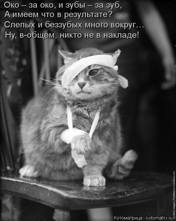 Котоматрица: Око – за око, и зубы – за зуб, А имеем что в результате? Слепых и беззубых много вокруг… Ну, в-общем, никто не в накладе!
