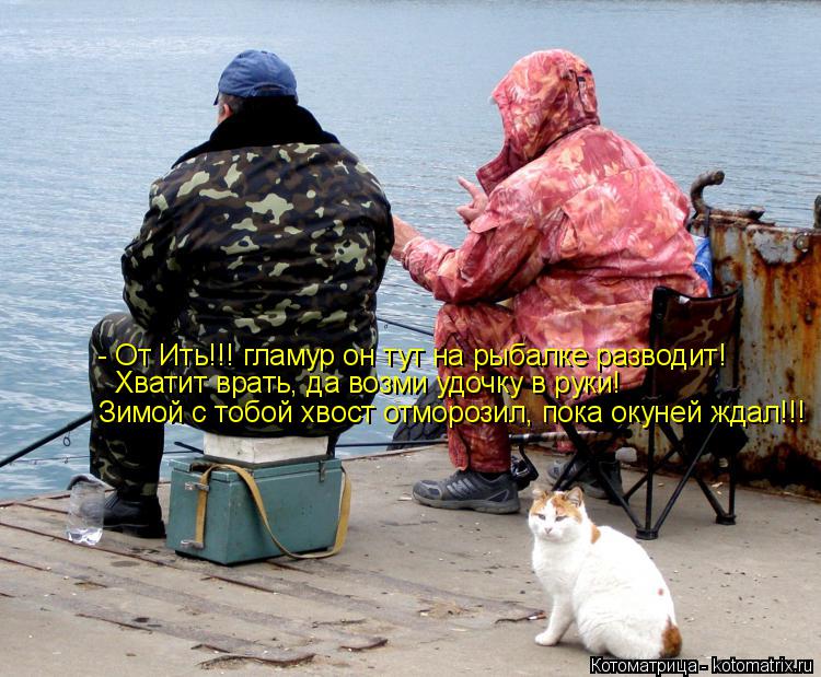 Котоматрица: - От Ить!!! гламур он тут на рыбалке разводит! Хватит врать, да возми удочку в руки! Зимой с тобой хвост отморозил, пока окуней ждал!!!