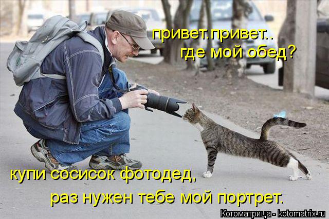 Котоматрица: привет.привет.. где мой обед? купи сосисок фотодед, раз нужен тебе мой портрет.