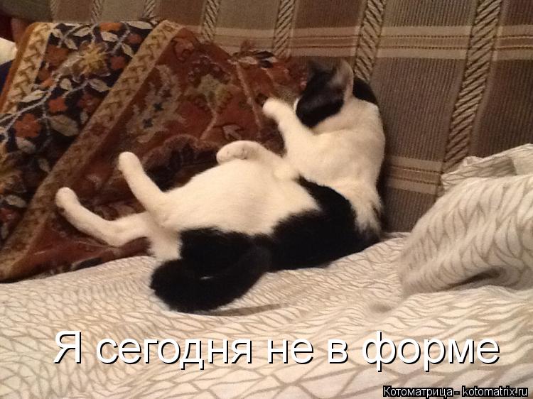 Котоматрица: Я сегодня не в форме