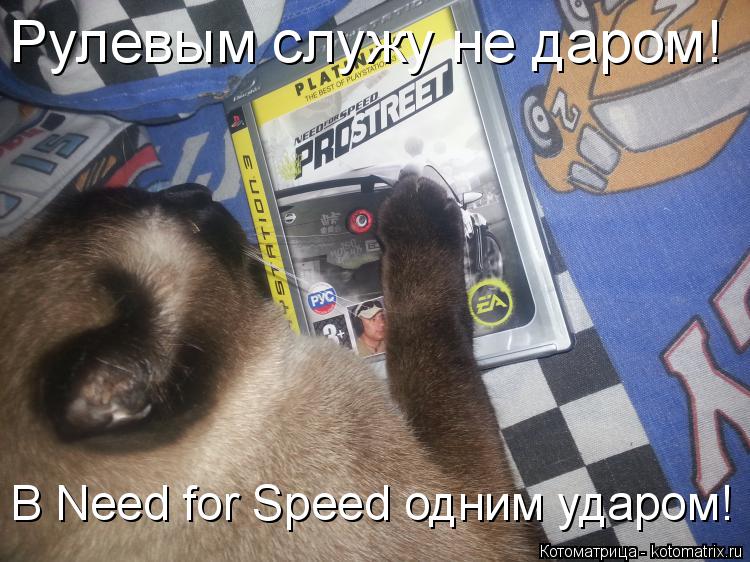 Котоматрица: Рулевым служу не даром! В Need for Speed одним ударом!