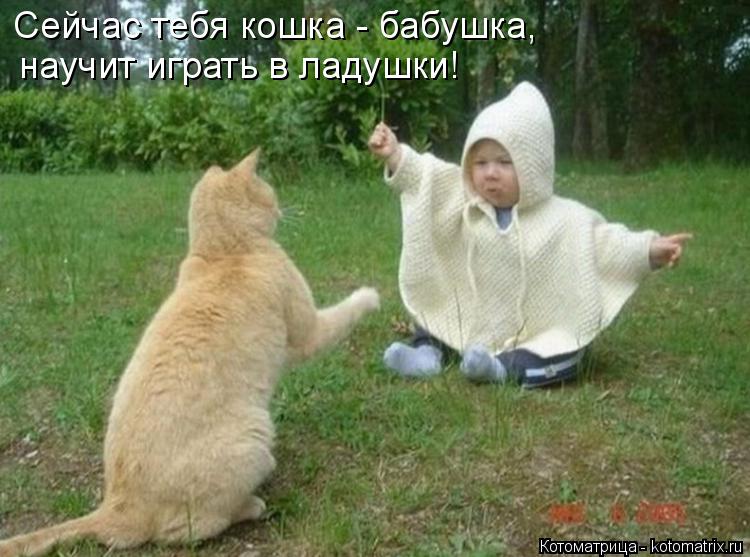 Котоматрица: Сейчас тебя кошка - бабушка, научит играть в ладушки!
