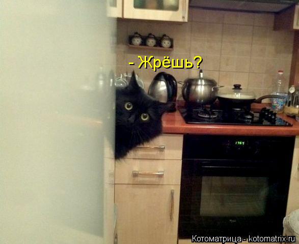 Котоматрица: - Жрёшь?