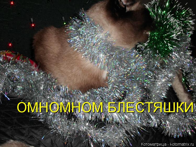 Котоматрица: ОМНОМНОМ БЛЕСТЯШКИ