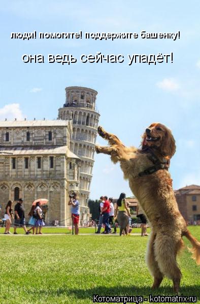 Котоматрица: люди! помогите! поддержите башенку! она ведь сейчас упадёт!