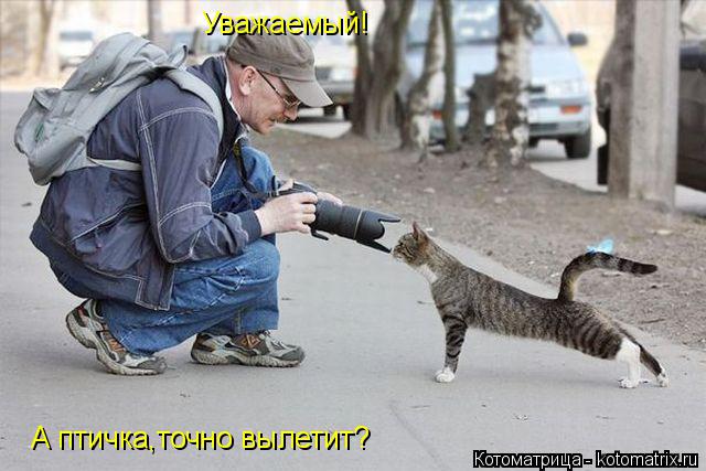 Котоматрица: Уважаемый! А птичка,точно вылетит?