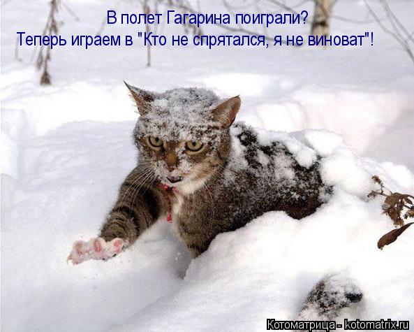 Котоматрица: В полет Гагарина поиграли? Теперь играем в "Кто не спрятался, я не виноват"!
