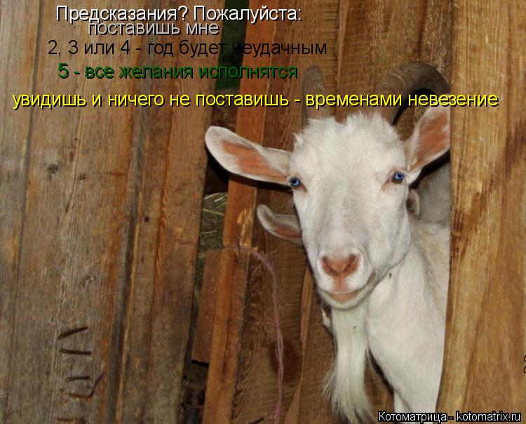 Котоматрица: Предсказания? Пожалуйста:  поставишь мне 2, 3 или 4 - год будет неудачным 5 - все желания исполнятся увидишь и ничего не поставишь - временами не