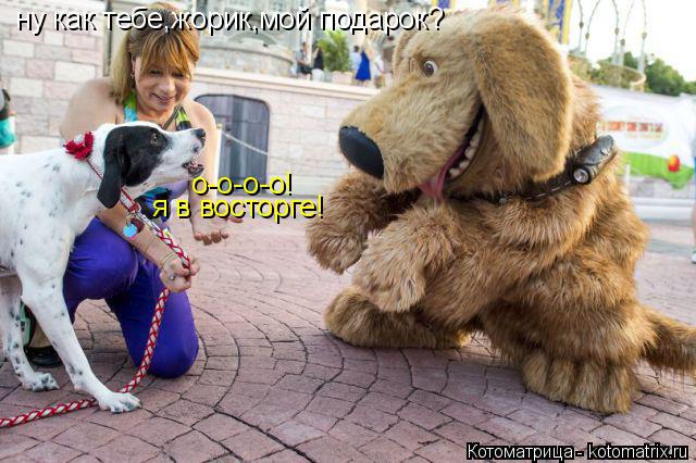 Котоматрица: ну как тебе,жорик,мой подарок? о-о-о-о! я в восторге!
