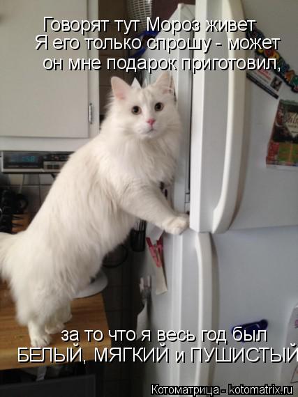 Котоматрица: Говорят тут Мороз живет Я его только спрошу - может  он мне подарок приготовил,  за то что я весь год был  БЕЛЫЙ, МЯГКИЙ и ПУШИСТЫЙ