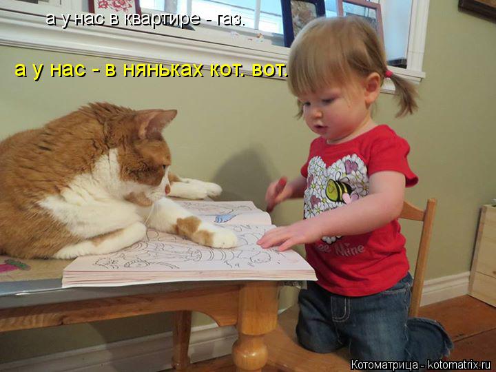Котоматрица: а у нас в квартире - газ. а у нас - в няньках кот. вот.