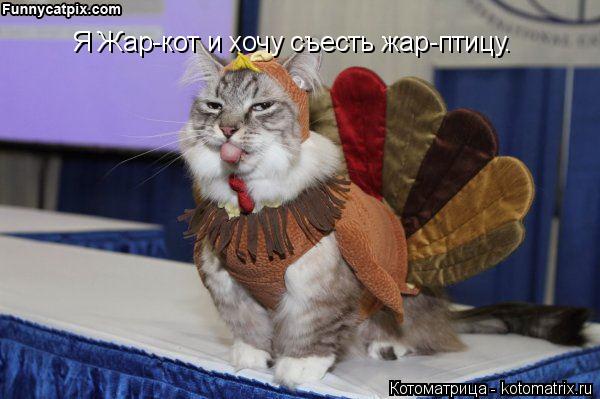Котоматрица: Я Жар-кот и хочу съесть жар-птицу.
