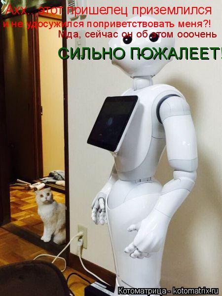 Котоматрица: Ахх...этот пришелец приземлился и не удосужился поприветствовать меня?! Мда, сейчас он об этом ооочень СИЛЬНО ПОЖАЛЕЕТ!