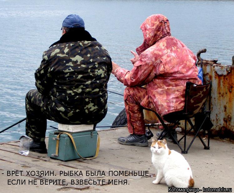 Котоматрица: - ВРЁТ ХОЗЯИН. РЫБКА БЫЛА ПОМЕНЬШЕ. ЕСЛИ НЕ ВЕРИТЕ, ВЗВЕСЬТЕ МЕНЯ.