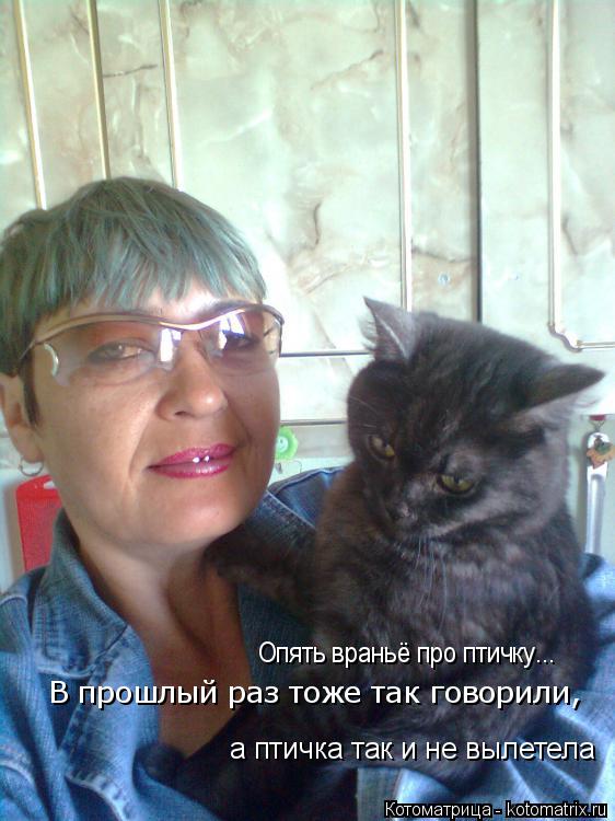 Котоматрица: Опять враньё про птичку... В прошлый раз тоже так говорили, а птичка так и не вылетела