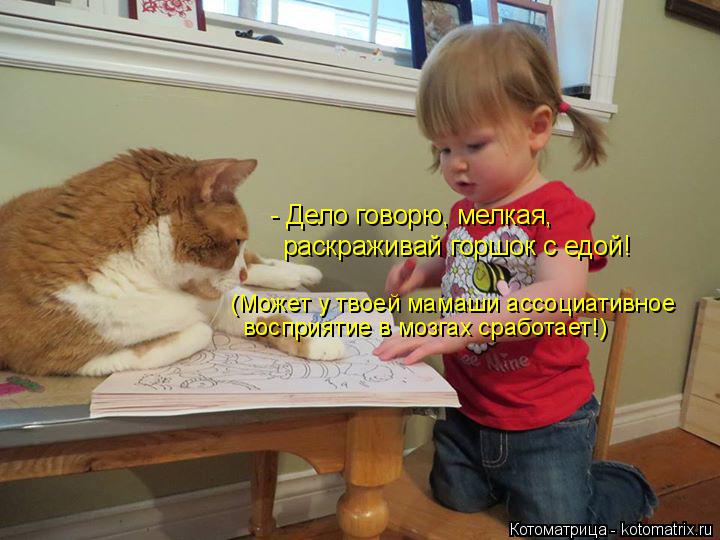 Котоматрица: - Дело говорю, мелкая, раскраживай горшок с едой! (Может у твоей мамаши ассоциативное  восприятие в мозгах сработает!)