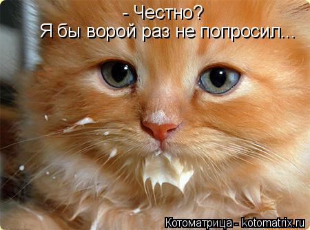 Котоматрица: - Честно? Я бы ворой раз не попросил...