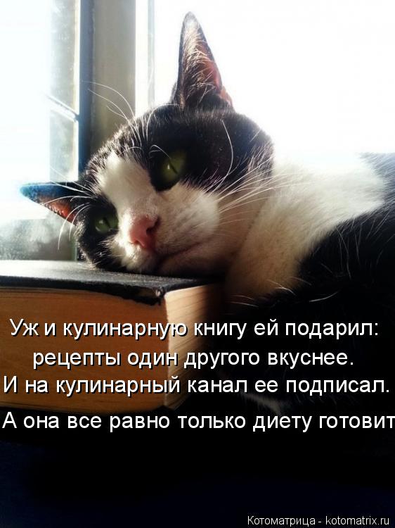 Котоматрица: Уж и кулинарную книгу ей подарил: рецепты один другого вкуснее. И на кулинарный канал ее подписал. А она все равно только диету готовит.