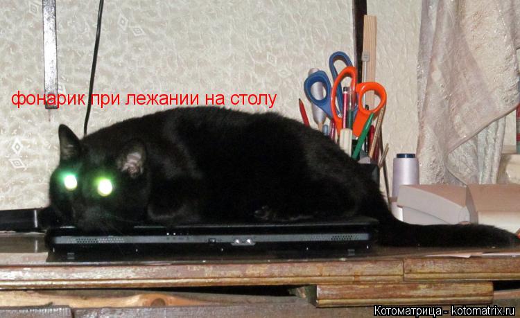 Котоматрица: фонарик при лежании на столу