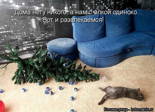 Котоматрица: Дома нету никого, а нам с ёлкой одиноко... Вот и развлекаемся!