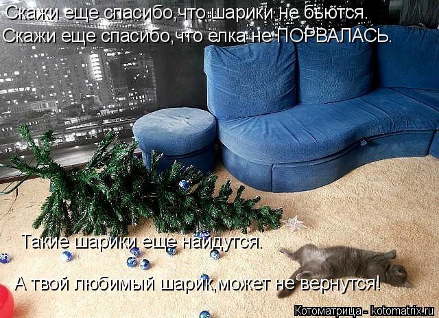 Котоматрица: Скажи еще спасибо,что шарики не бьются. Скажи еще спасибо,что елка не ПОРВАЛАСЬ. Такие шарики еще найдутся. А твой любимый шарик,может не вер