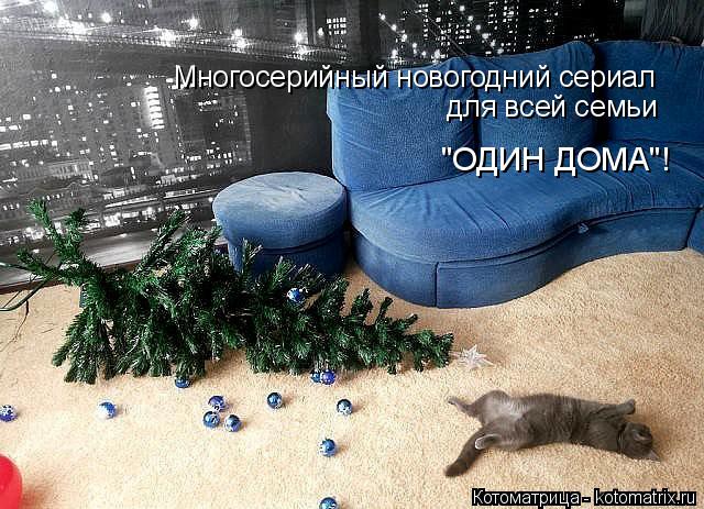 Котоматрица: Многосерийный новогодний сериал  для всей семьи "ОДИН ДОМА"!