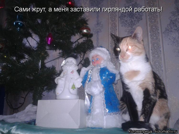 Сами жрут, а меня заставили гирляндой работать!... Котоматрица: Сами жрут, а меня заставили гирляндой работать!