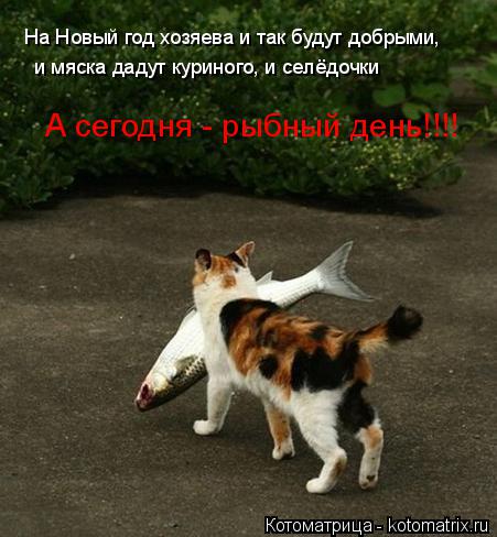 Котоматрица: На Новый год хозяева и так будут добрыми, и мяска дадут куриного, и селёдочки А сегодня - рыбный день!!!!