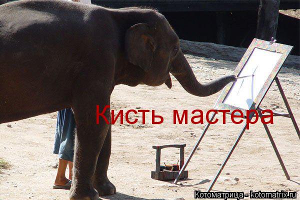 Котоматрица: Кисть мастера