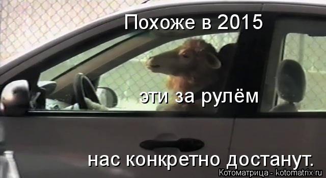 Похоже в 2015 эти за рулём нас конкретно достанут.... Котоматрица: Похоже в 2015 эти за рулём нас конкретно достанут.