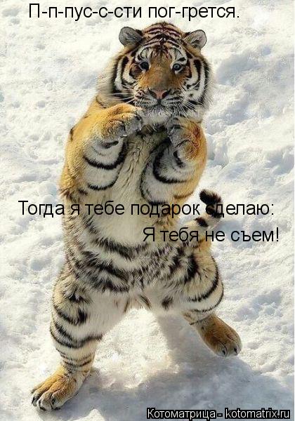 Котоматрица: П-п-пус-с-сти пог-грется. Тогда я тебе подарок сделаю: Я тебя не съем!