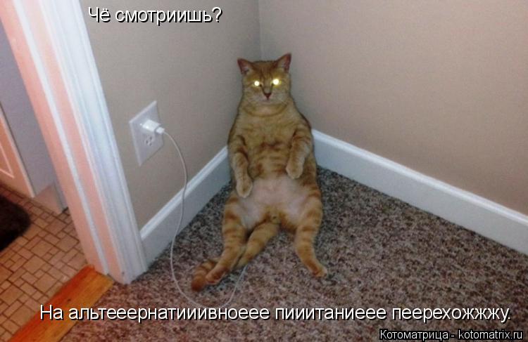 Котоматрица: Чё смотриишь? На альтееернатииивноеее пииитаниеее пеерехожжжу.