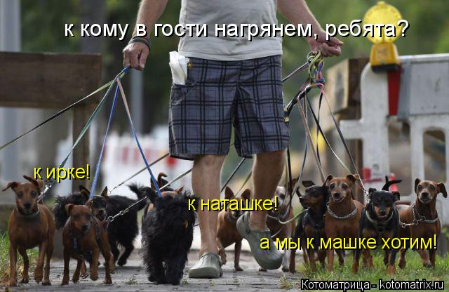 Котоматрица: к кому в гости нагрянем, ребята? к ирке! к наташке! а мы к машке хотим!